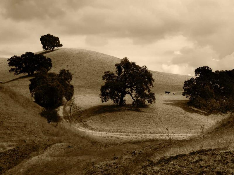 sudoku irregular boxes screenshot 1