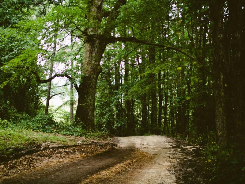 sudoku irregular boxes screenshot 5